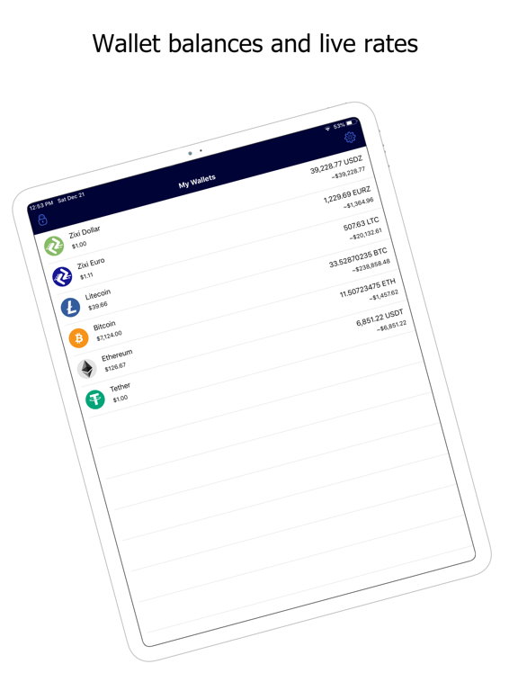 ZixiPay: Tether Wallet iPad screenshot 3 - Finance app