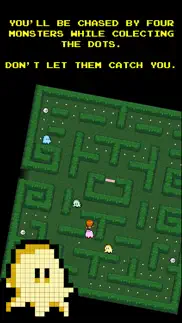 rotate the maze iphone resimleri 2