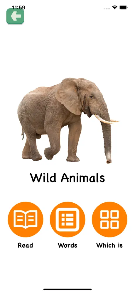 Flashcards 2/3 years toddlers