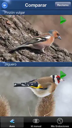 Cantos de Aves Id iPhone image 4