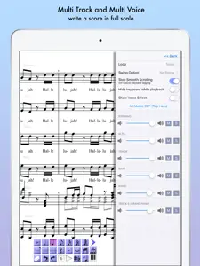 iWriteMusic Pro SE screenshot #7 for iPad