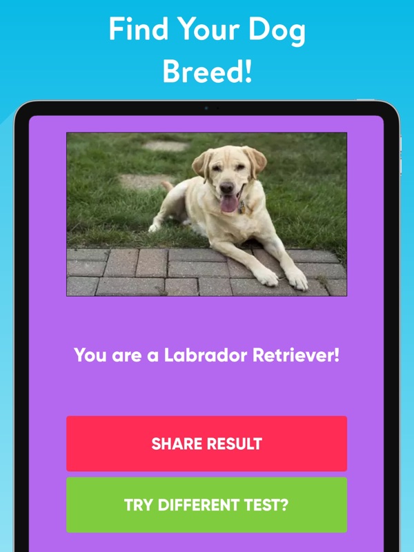 What Type Of Dog Are You? screenshot 5