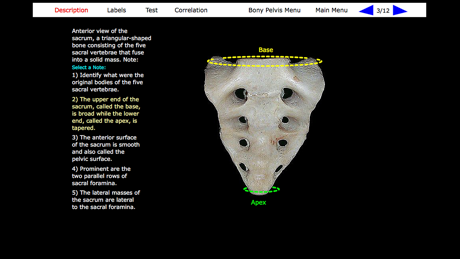 Human Skeleton: Gross Anatomy App Store screenshot 7