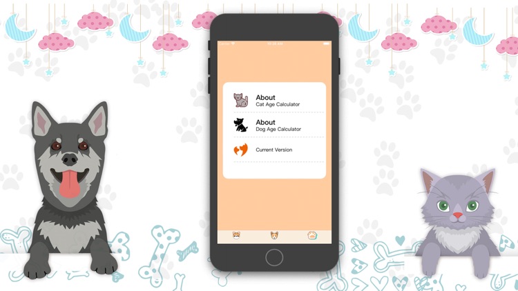CatAndDogAgeCalculator