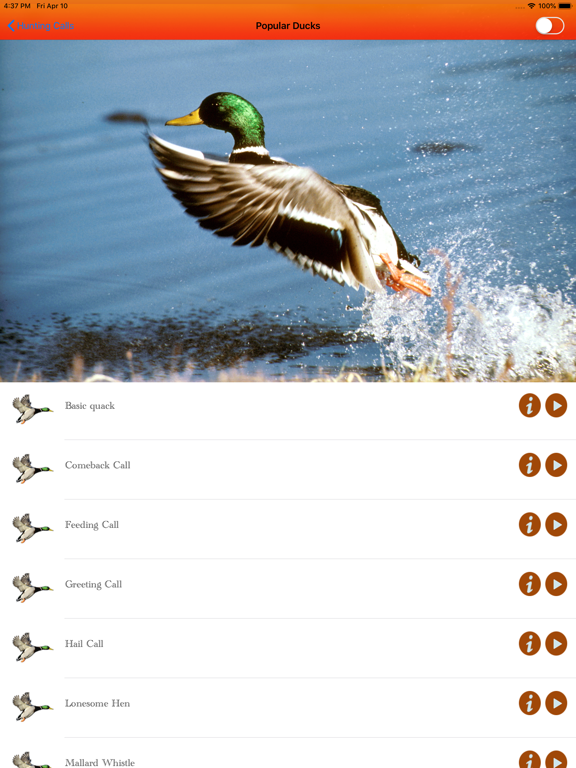 Screenshot #4 pour Duck Hunting Calls -