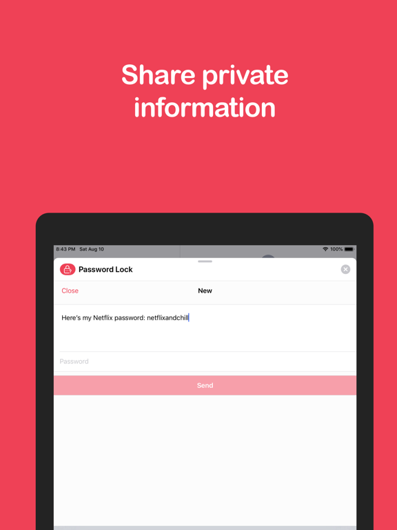 Screenshot #1 for Password Encrypted Message