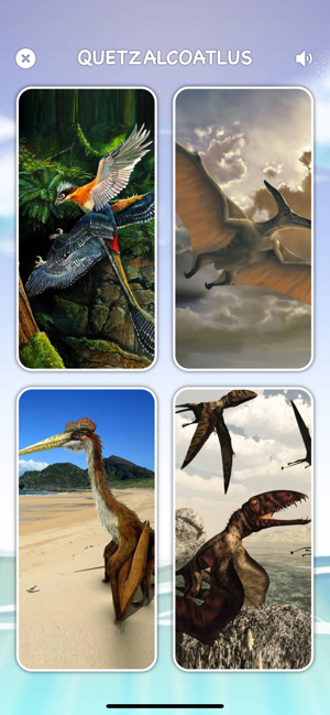 Cards of Dinosaurs for Toddler(圖2)-速報App