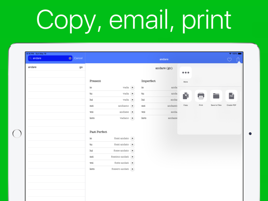 Italian Verb Conjugator Pro iPad screenshot 4 - Education app