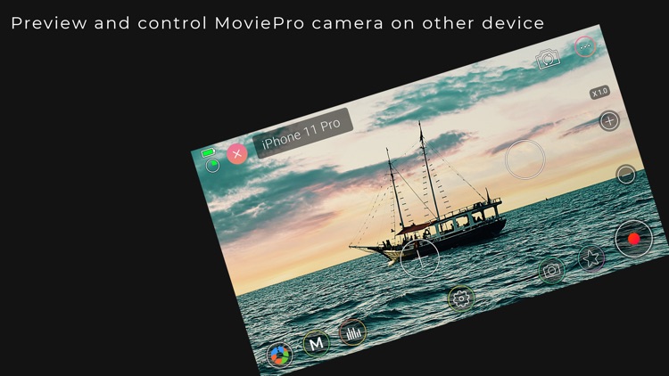 MoviePro Remote