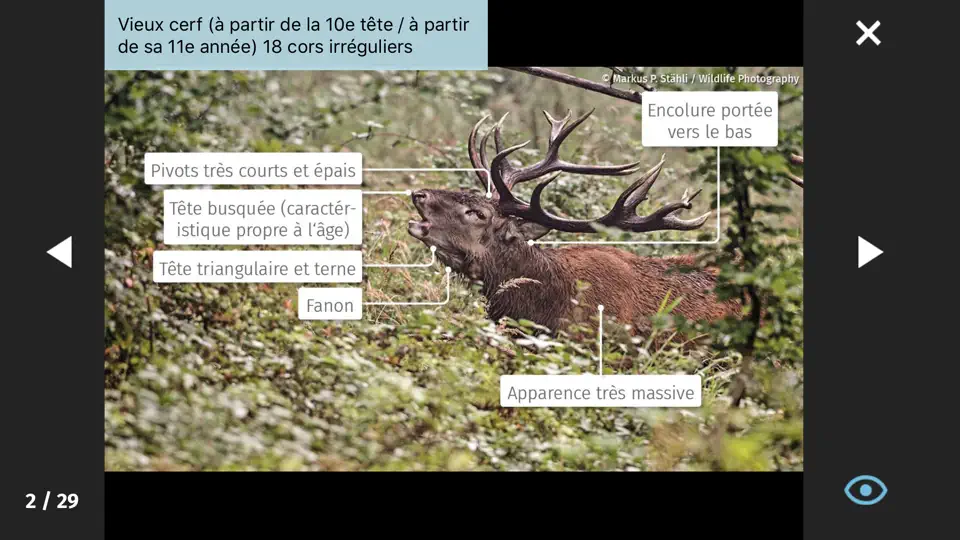 Capture d'écran de App Chasser En Suisse sur iPhone 4