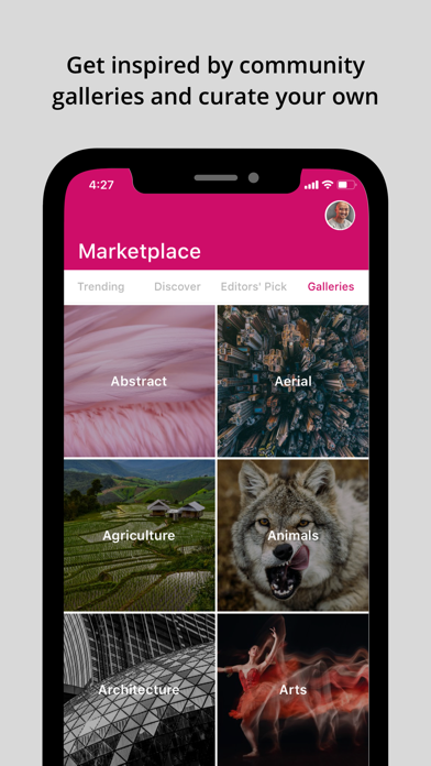 Screenshot #3 pour PIXERF