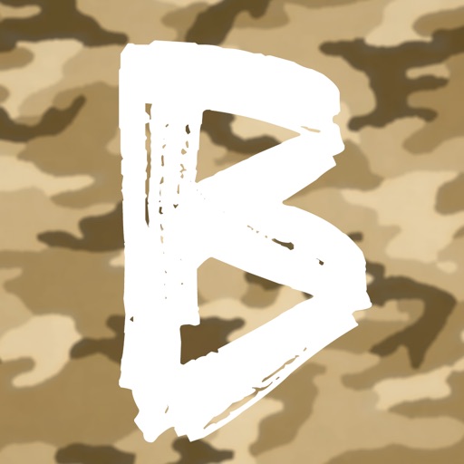Bootcamp icon