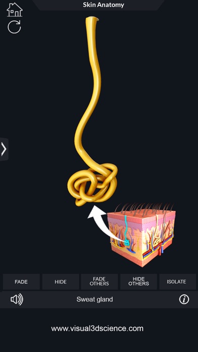 My Skin Anatomy Screenshot