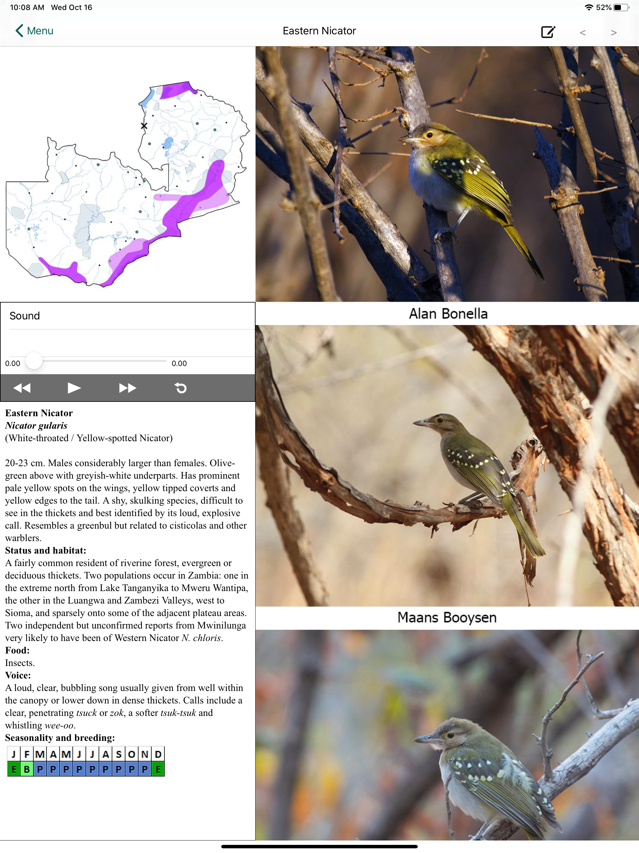 Birds of Zambia
