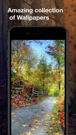 Game screenshot Autumn Wallpapers: HD mod apk
