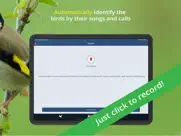 bird song id uk ipad bildschirmfoto 2