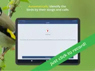 Bird Song Id UK ipad bilder 1