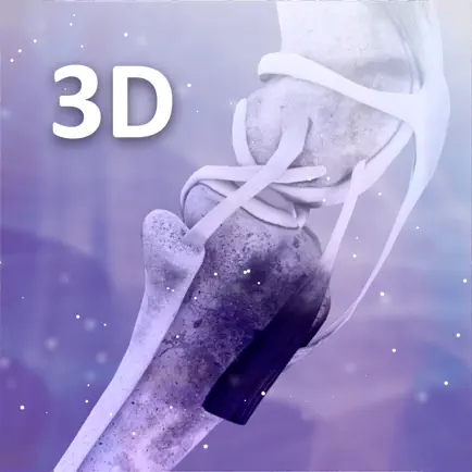 3D Joints Tool Читы