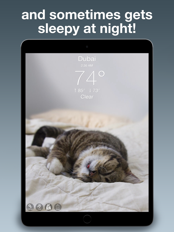 Screenshot #6 pour Lil BUB Cat Weather Report