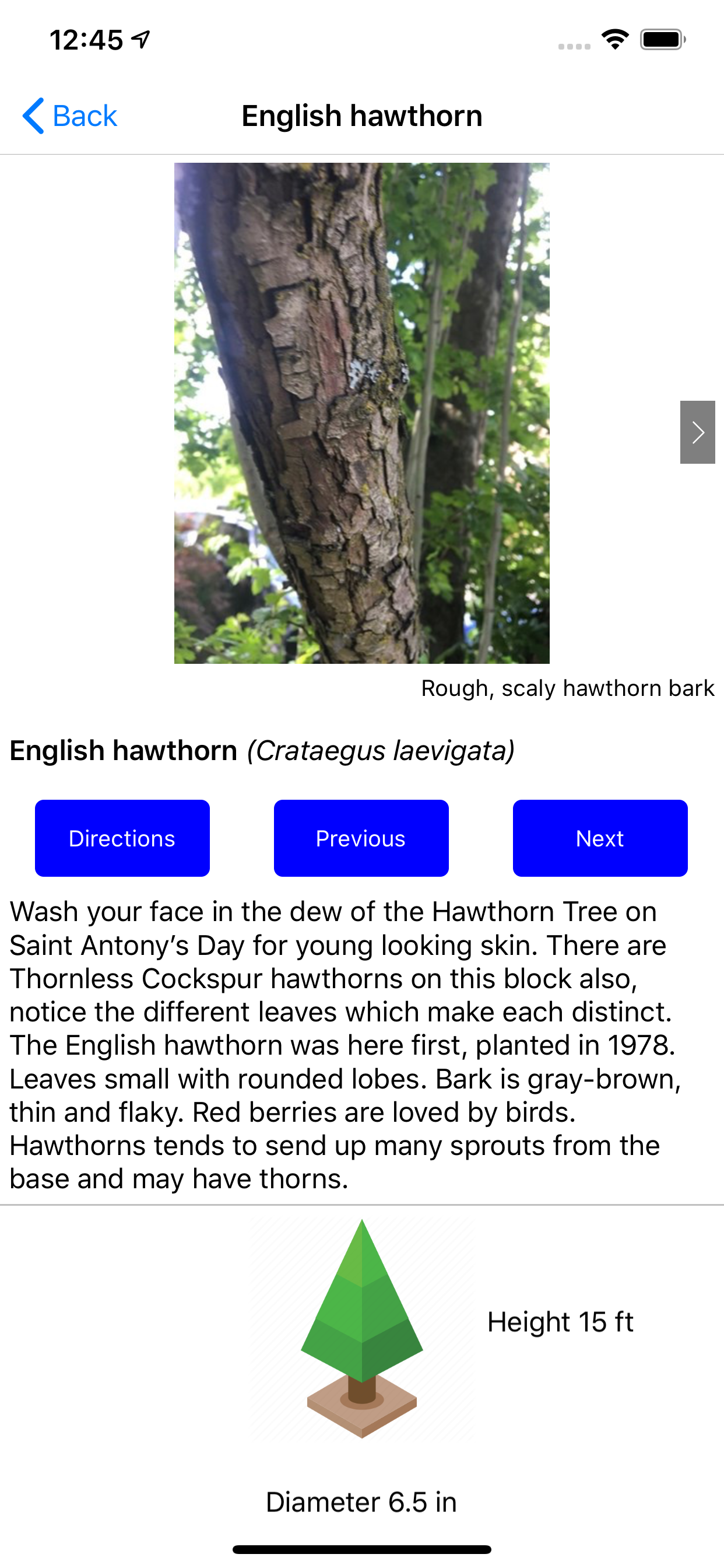 Seattle Tree Walks