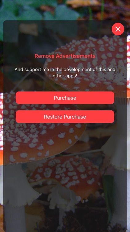 Mushroom Scan screenshot-4