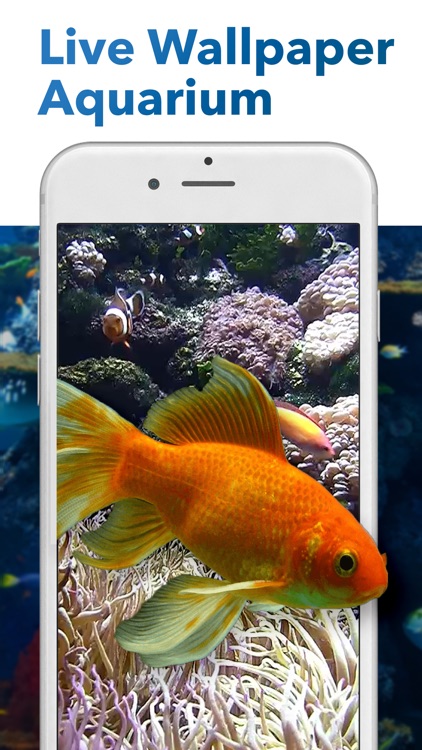 Aquarium Dynamic Wallpaper 4K