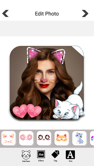 Screenshot #2 pour Animal Face Sticker