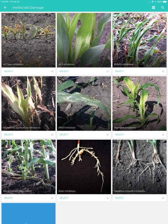 Mobile Scout App iPad screenshot 4 - Business app