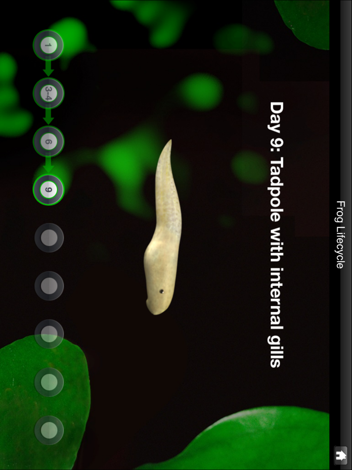 #2. Frog Dissection (iOS) Podle: GP Strategies Corporation