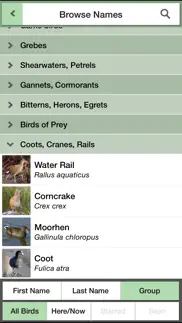 birds of britain pocket guide iphone screenshot 3