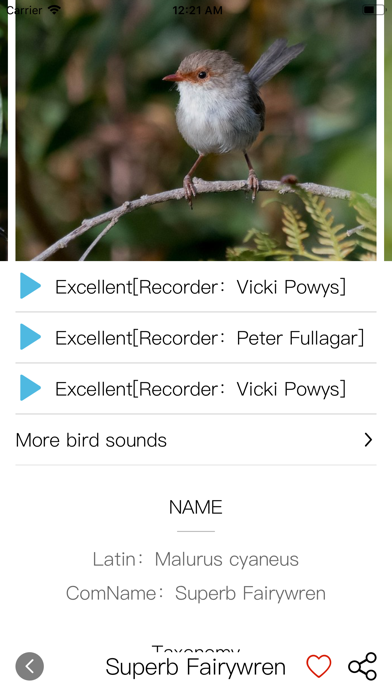 Bird ID Pro-Picture&Audioのおすすめ画像2