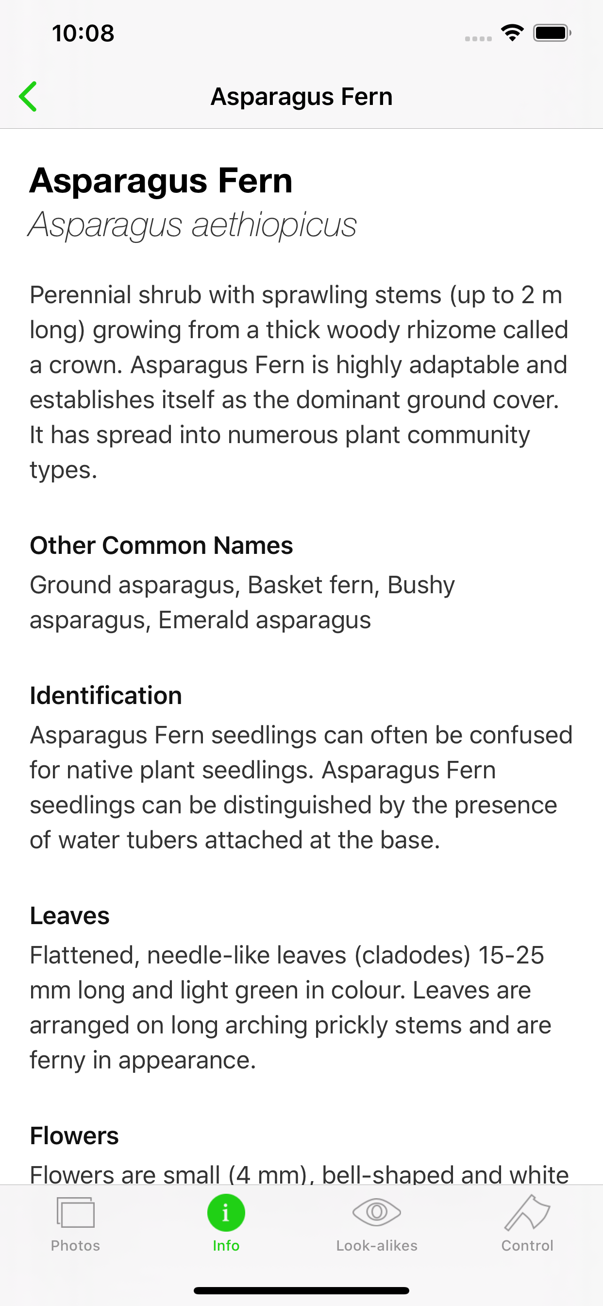 Environmental Weeds of Sydney