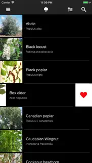 deciduous trees iphone screenshot 3