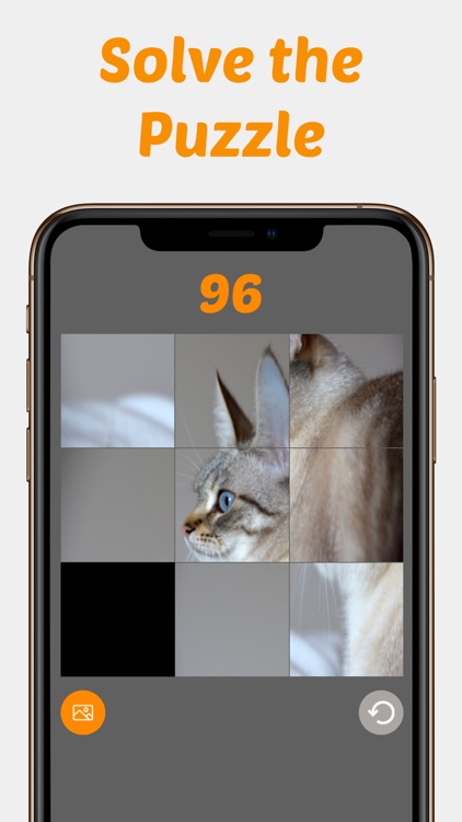 Cute Kitten Photos Puzzle