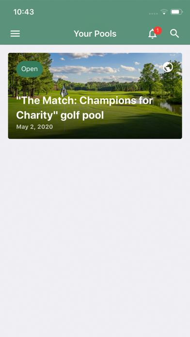 Fun Sports Pools Screenshot