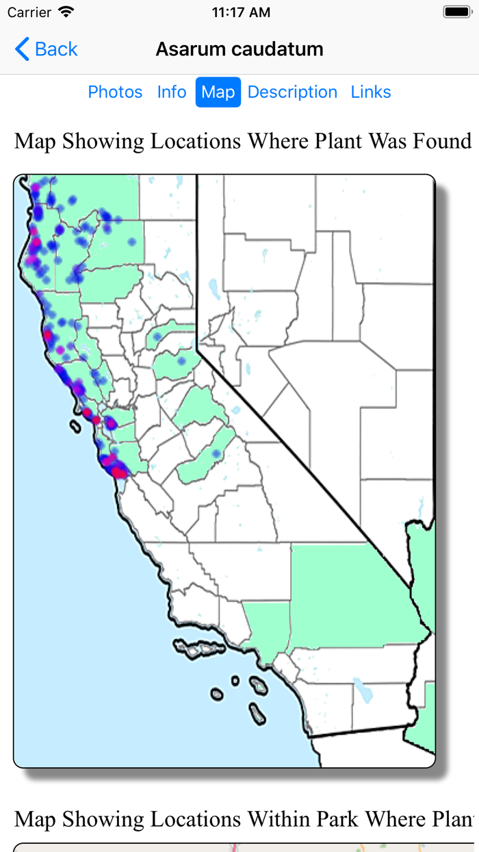 SF Bay Area Wildflowers