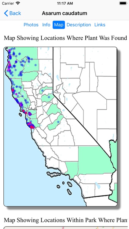 SF Bay Area Wildflowers screenshot-5