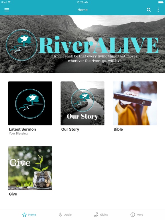 Screenshot #4 pour RiverALIVE