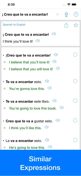 Spanish Translator Offline: Screenshot 4 von 5