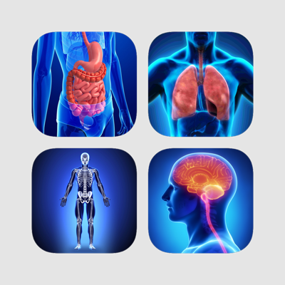 Human Anatomy & Physiology Bundle