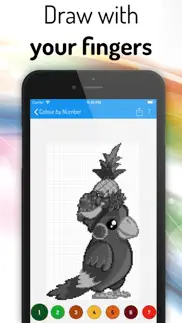 color by number pro iphone resimleri 2
