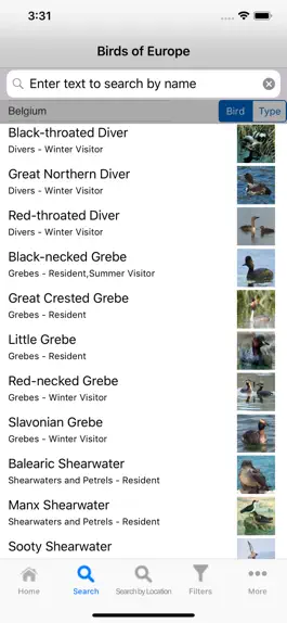 Game screenshot Birds Of Europe hack