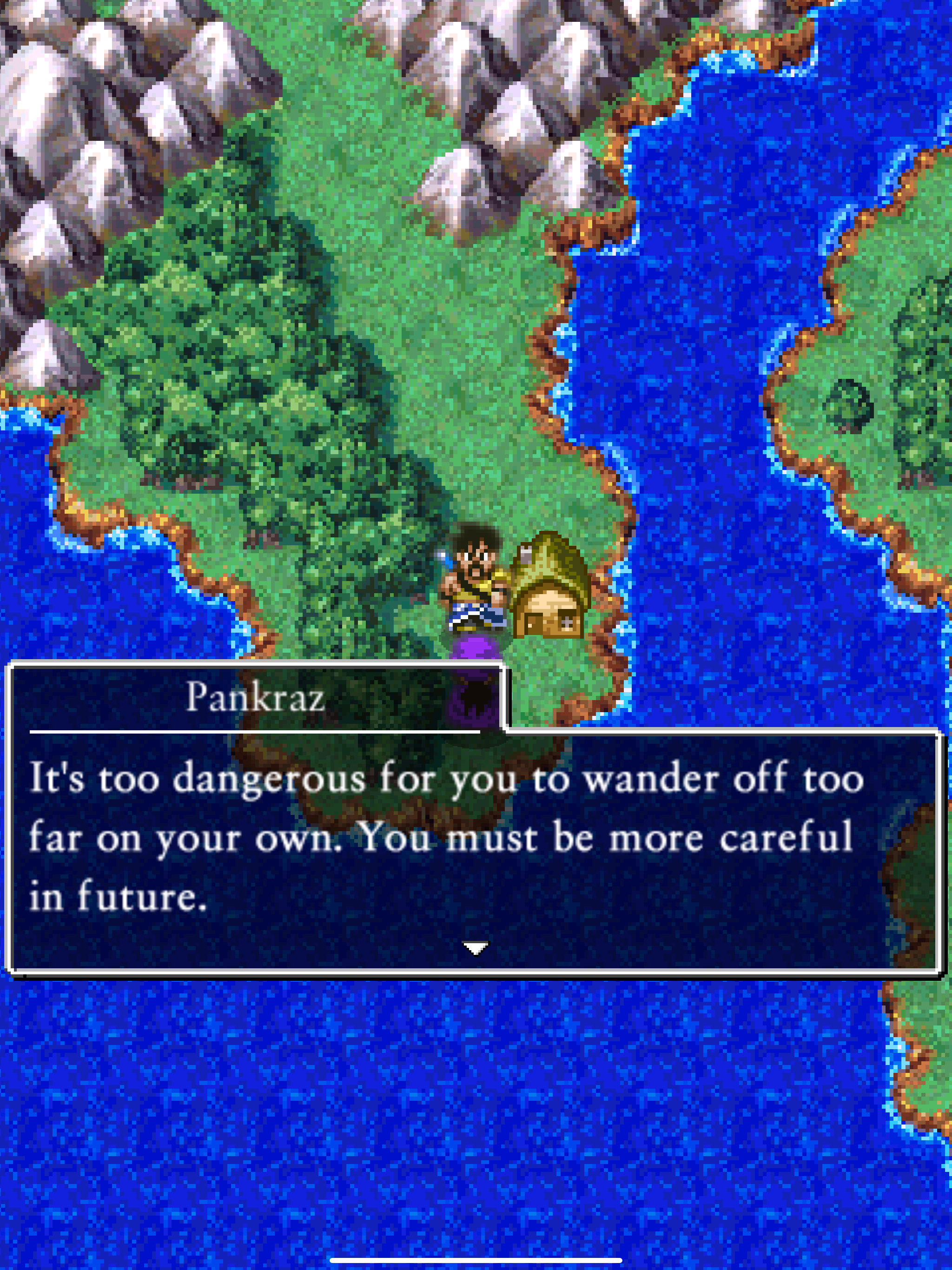 DRAGON QUEST V screenshot 9