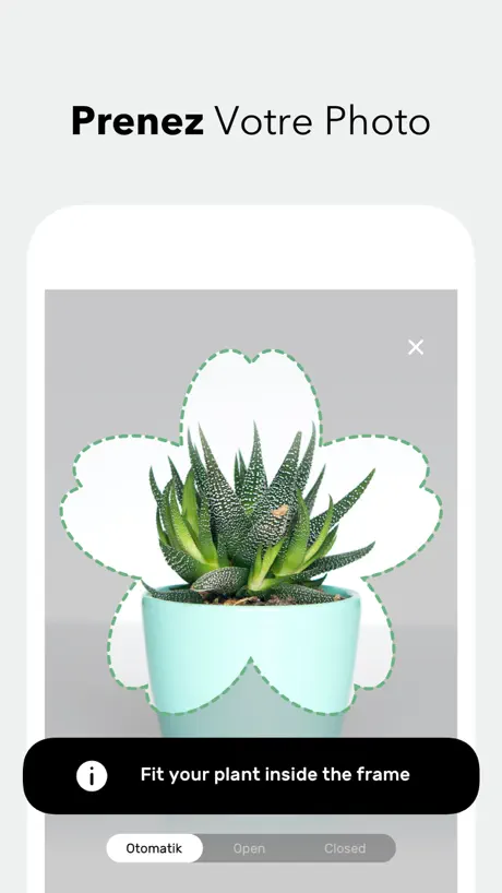 Botanis - Identifier Plantes