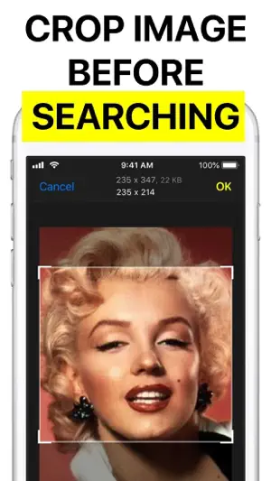 Reversee: Reverse Image Search screenshot 4