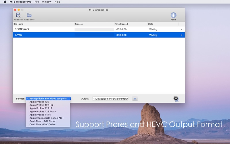 Screenshot #2 pour MTS Wrapper Pro