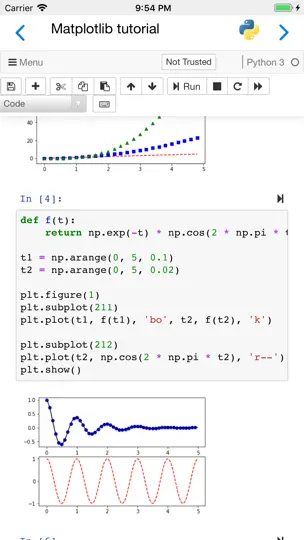 Capture d'écran de Carnets - Jupyter sur iPhone 3
