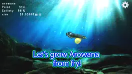 Game screenshot Arowana raising from fry mod apk