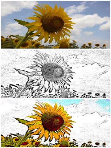 写真で銅版画 - エッチング風写真加工アプリのおすすめ画像2