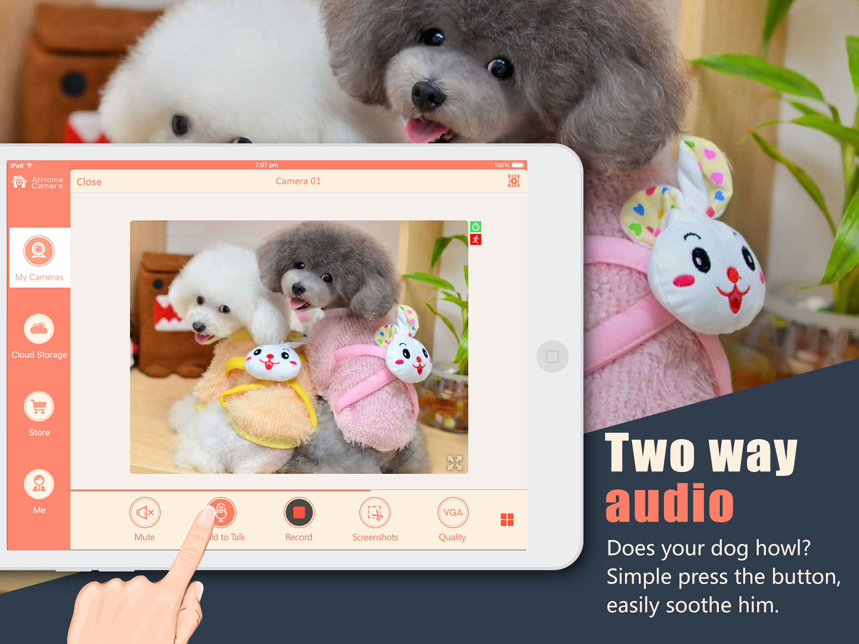 Athome Camera Pro:Monitor